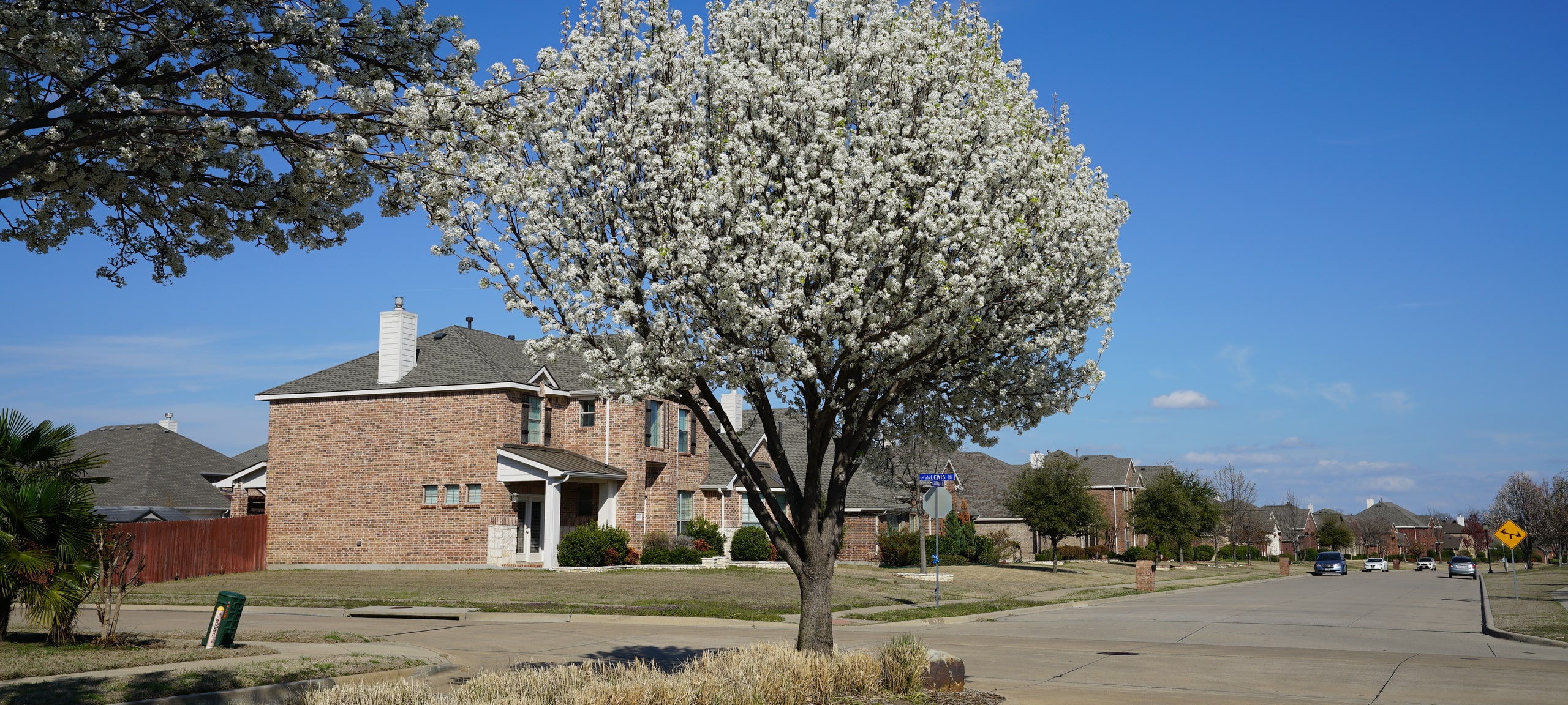 Residential street typical of Murphy, Texas